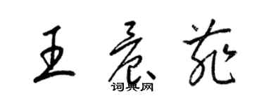 梁錦英王晨菲草書個性簽名怎么寫