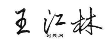 駱恆光王江林行書個性簽名怎么寫