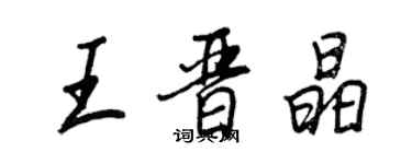 王正良王晉晶行書個性簽名怎么寫