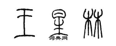 陳墨王星林篆書個性簽名怎么寫