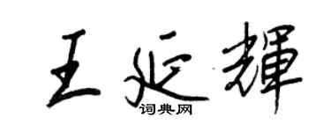 王正良王延輝行書個性簽名怎么寫