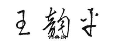 駱恆光王韻平草書個性簽名怎么寫