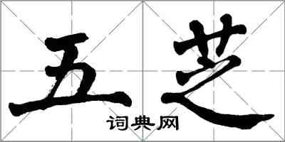 翁闓運五芝楷書怎么寫