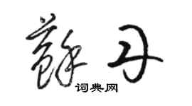 駱恆光蘇丹草書個性簽名怎么寫