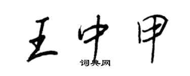 王正良王中甲行書個性簽名怎么寫