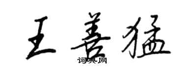 王正良王善猛行書個性簽名怎么寫