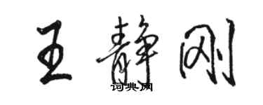 駱恆光王靜剛行書個性簽名怎么寫