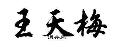 胡問遂王天梅行書個性簽名怎么寫