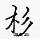 張標寫的硬筆楷書杉