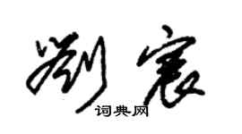 朱錫榮劉宸草書個性簽名怎么寫