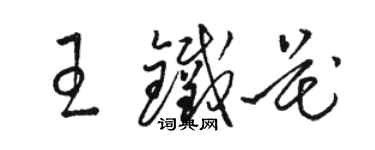 駱恆光王鐵花草書個性簽名怎么寫