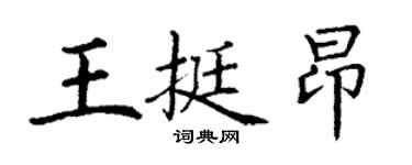 丁謙王挺昂楷書個性簽名怎么寫