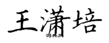丁謙王瀟培楷書個性簽名怎么寫