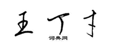 梁錦英王丁才草書個性簽名怎么寫