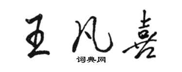 駱恆光王凡喜行書個性簽名怎么寫