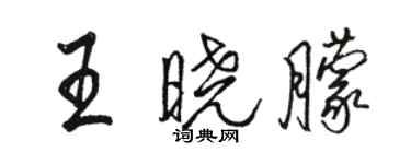 駱恆光王曉朦行書個性簽名怎么寫