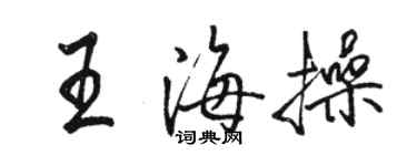 駱恆光王海操行書個性簽名怎么寫