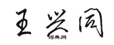 駱恆光王興同行書個性簽名怎么寫