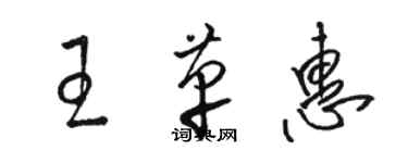 駱恆光王革惠草書個性簽名怎么寫