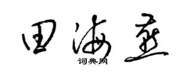 梁錦英田海燕草書個性簽名怎么寫