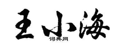 胡問遂王小海行書個性簽名怎么寫
