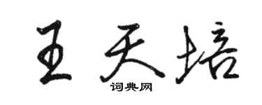 駱恆光王天培行書個性簽名怎么寫