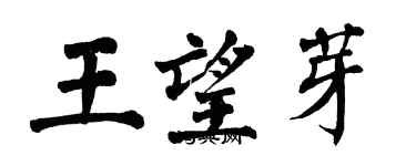 翁闓運王望芽楷書個性簽名怎么寫