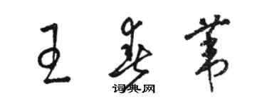 駱恆光王春葦草書個性簽名怎么寫