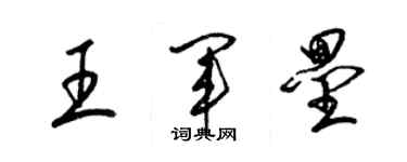 梁錦英王軍壘草書個性簽名怎么寫