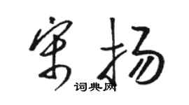 駱恆光宋揚草書個性簽名怎么寫