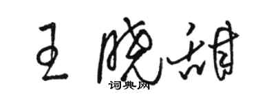駱恆光王曉甜草書個性簽名怎么寫