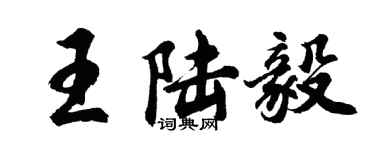 胡問遂王陸毅行書個性簽名怎么寫