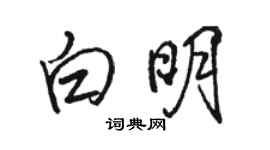 駱恆光白明行書個性簽名怎么寫
