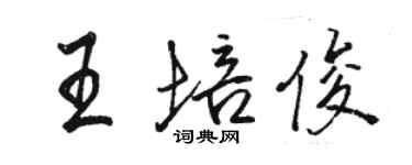 駱恆光王培俊行書個性簽名怎么寫