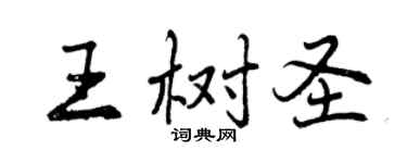 曾慶福王樹聖行書個性簽名怎么寫