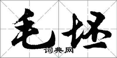 胡問遂毛坯行書怎么寫