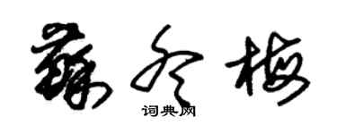 朱錫榮蘇冬梅草書個性簽名怎么寫