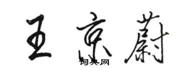 駱恆光王京蔚行書個性簽名怎么寫