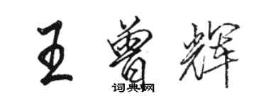 駱恆光王曾輝行書個性簽名怎么寫