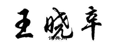 胡問遂王曉辛行書個性簽名怎么寫