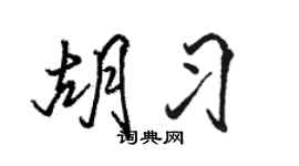 駱恆光胡習行書個性簽名怎么寫