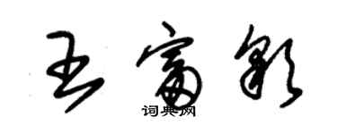 朱錫榮王富彩草書個性簽名怎么寫