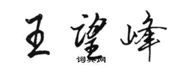 駱恆光王望峰行書個性簽名怎么寫