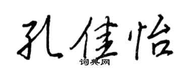 王正良孔佳怡行書個性簽名怎么寫