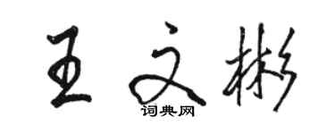 駱恆光王文彬行書個性簽名怎么寫