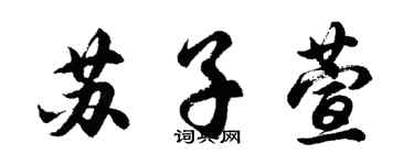 胡問遂蘇子萱行書個性簽名怎么寫