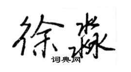 王正良徐淼行書個性簽名怎么寫