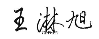 駱恆光王淋旭行書個性簽名怎么寫