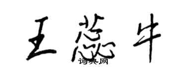 王正良王蕊牛行書個性簽名怎么寫