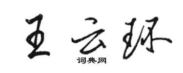 駱恆光王雲環行書個性簽名怎么寫